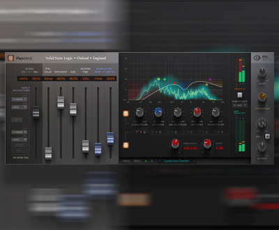 SSL FlexVerb
